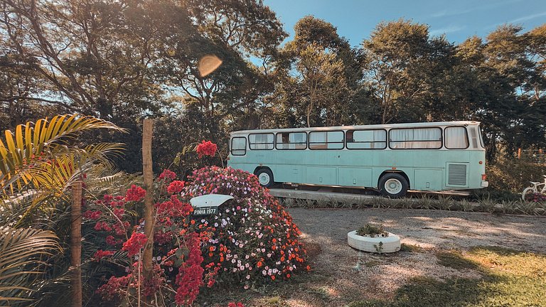 Ônibus 707 - Chalé em São Roque/SP