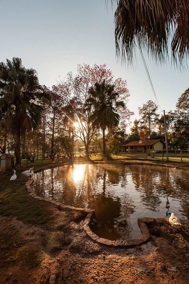 Chalé 406 com hidro